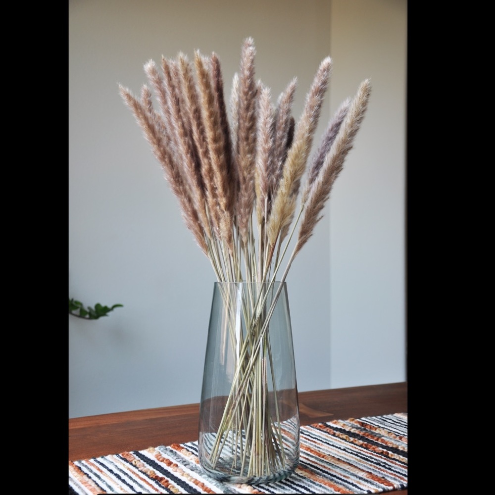 Pampas grass dried fluffy